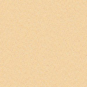 CARNIVAL-614-500x500-300x300