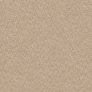 CARNIVAL-634-500x500-300x300