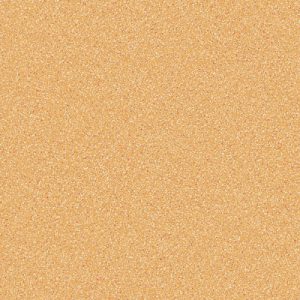 CARNIVAL-637-500x500-300x300