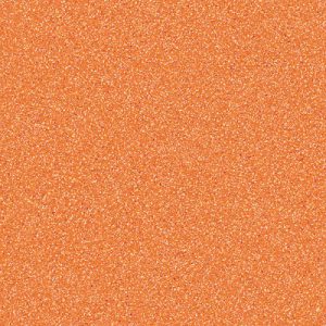 CARNIVAL-667-500x500-300x300