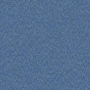 CARNIVAL-674-500x500-300x300