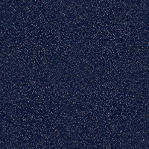 CARNIVAL-677-500x500-300x300