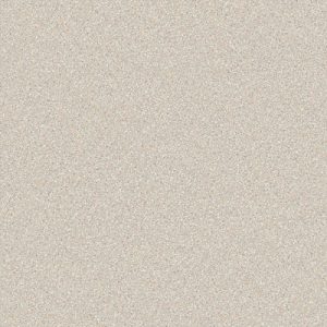 CARNIVAL-692-500x500-300x300