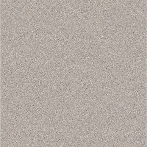 CARNIVAL-694-500x500-300x300