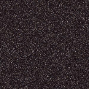 CARNIVAL-698-500x500-300x300