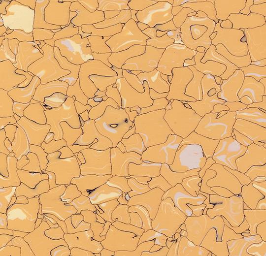 Colorex-EC-250219-assuan