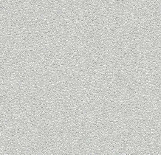 Safestep-Aqua-180262-trout