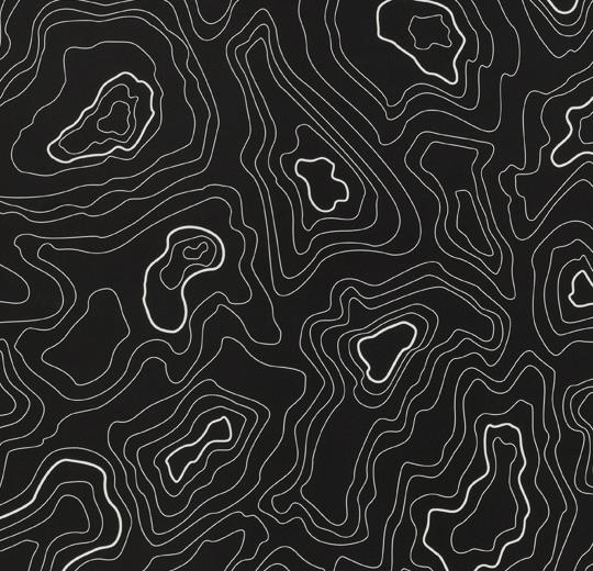 Sarlon-Accoustic-Topography-433929-black