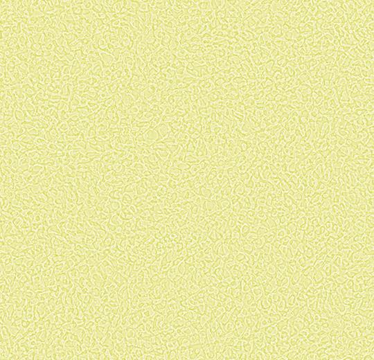 Sarlon-Sparkling-acoustic-434508-pistachio-1