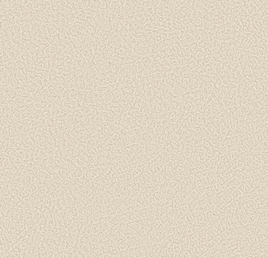 Sarlon-Sparkling-acoustic-434513-seashell-1