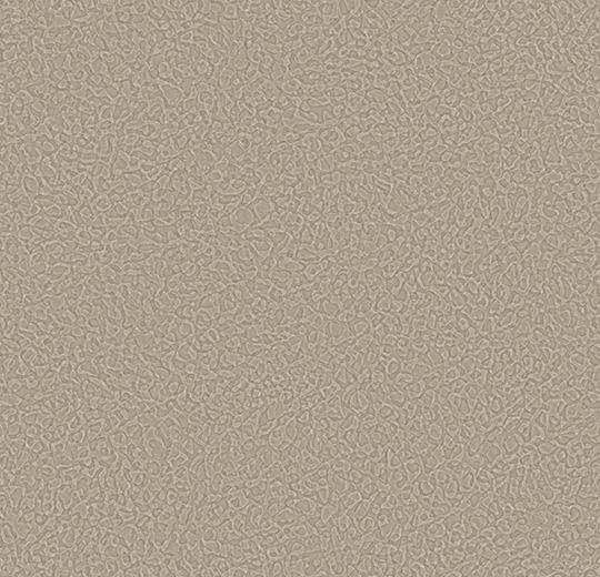 Sarlon-Sparkling-acoustic-434514-clay-1