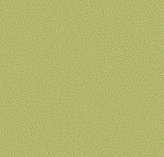 Sarlon-Sparkling-acoustic-434518-moss-1