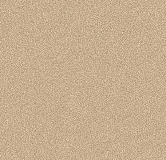 Sarlon-Sparkling-acoustic-434523-tan-1