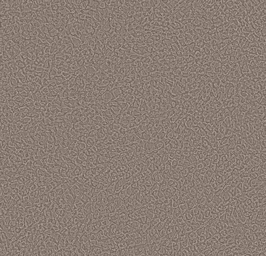 Sarlon-Sparkling-acoustic-434524-beaver-1