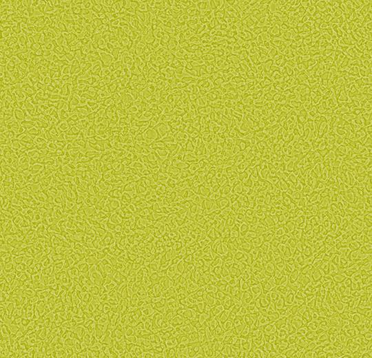 Sarlon-Sparkling-acoustic-434528-lime-1