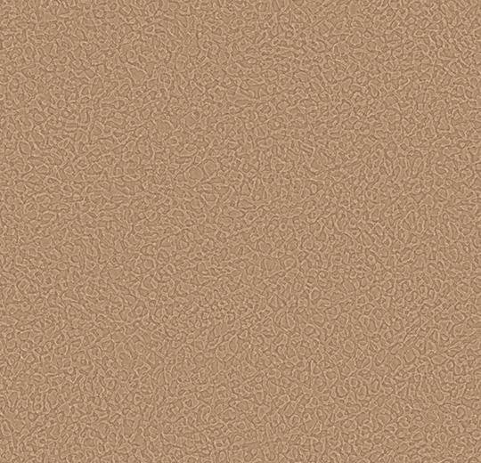 Sarlon-Sparkling-acoustic-434534-earth-1