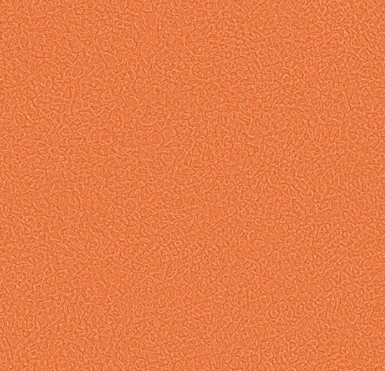 Sarlon-Sparkling-acoustic-434536-tangerine-1