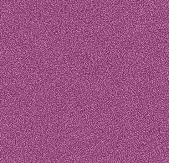 Sarlon-Sparkling-acoustic-434546-plum-1