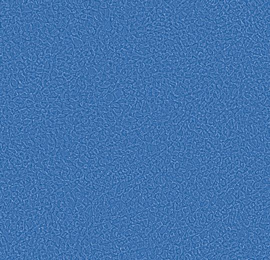 Sarlon-Sparkling-acoustic-434567-navy-1