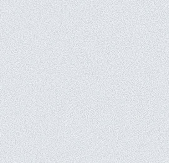 Sarlon-Sparkling-acoustic-434571-grey-sky-1