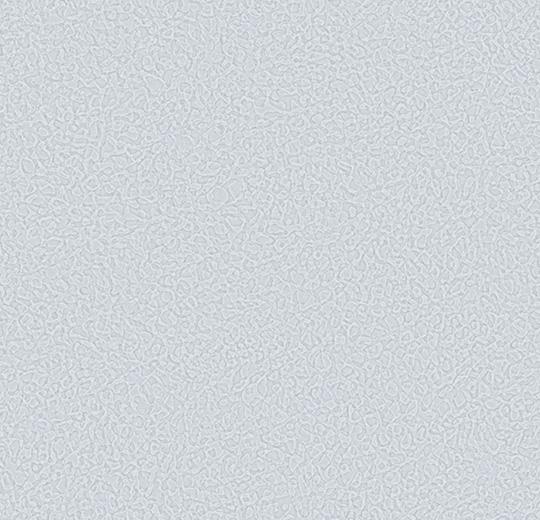 Sarlon-Sparkling-acoustic-434572-silver-grey-1