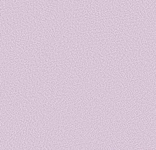 Sarlon-Sparkling-acoustic-434587-mauve-1
