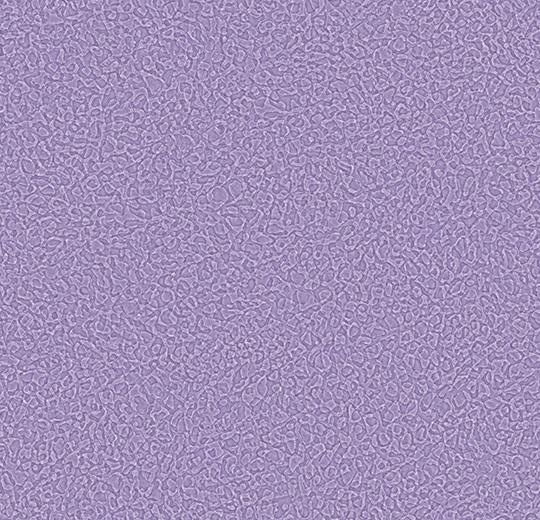 Sarlon-Sparkling-acoustic-434597-lavender-1