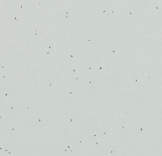 Sphera-Energetic-50205-inox