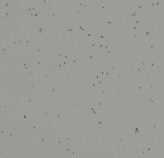 Sphera-Energetic-50216-pigeon