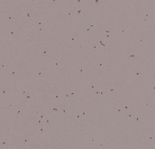 Sphera-Energetic-50219-dolphin