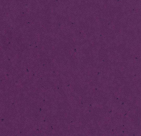 Sphera-Energetic-50232-eggplant