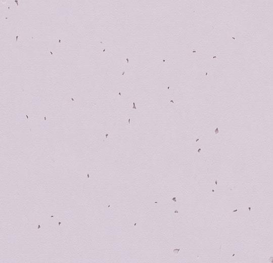 Sphera-Energetic-50234-lilac