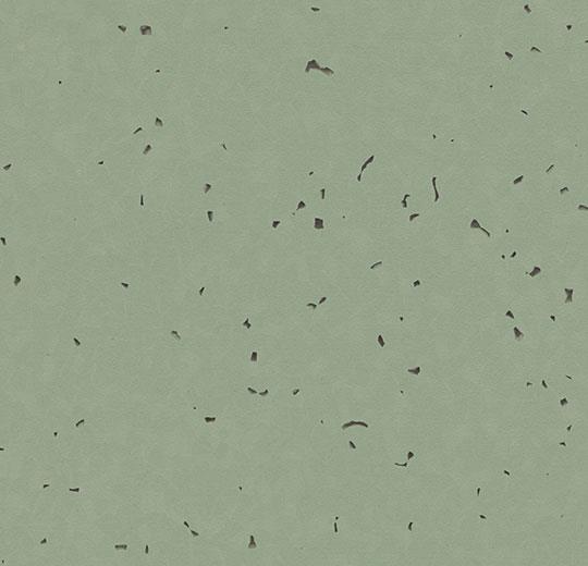 Sphera-Energetic-50236-thyme