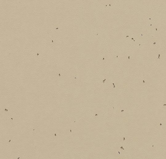 Sphera-Energetic-50237-mushroom