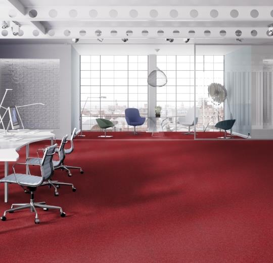 Tessera-Basis-362-red-installacio