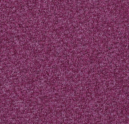 Tessera-Basis-374-raspberry