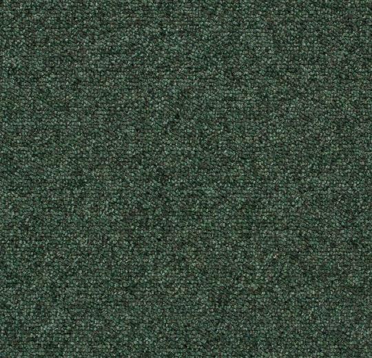 Tessera-Basis-386-foliage