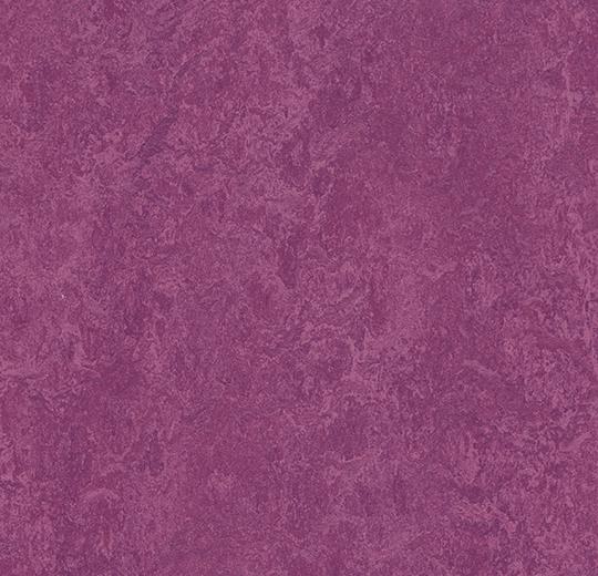 t3245-summer-pudding-25cmx25cm-50cmx50cm