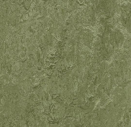 t3255-pine-forest-25cmx25cm-50cmx50cm