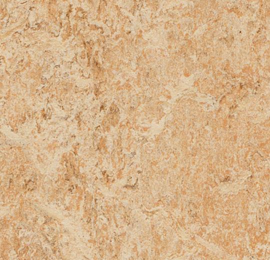 3075-shell-2-mm-25-mm-32-mm