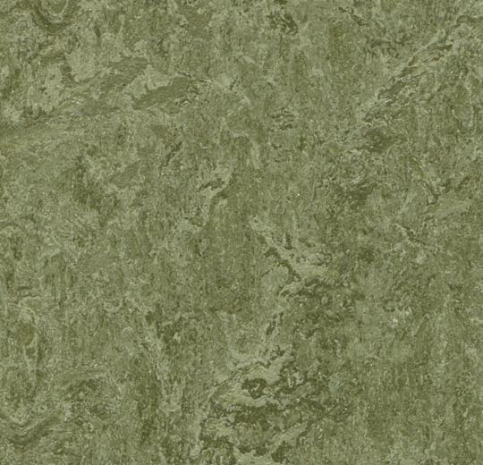 3255-pine-forest-25-mm