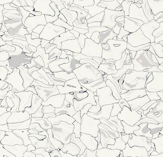 Colorex-EC-250201-everest