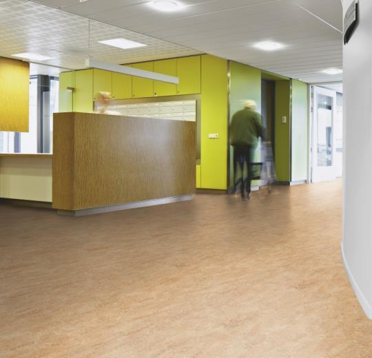 Marmoluem-Acoustic-33075-shell-installáció