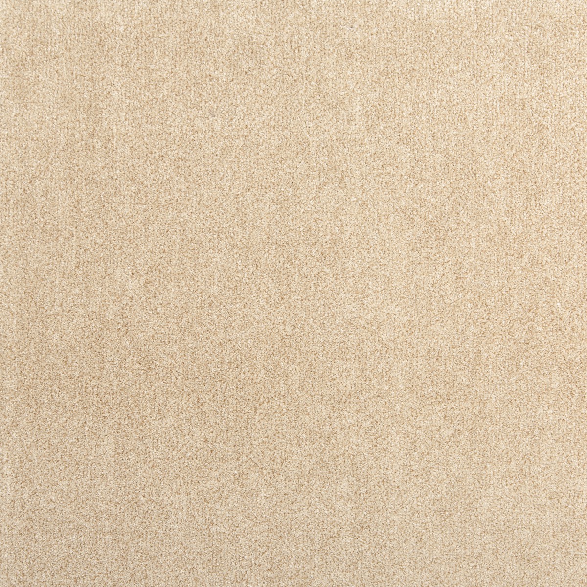 cleartex-incati-atlas-513-10