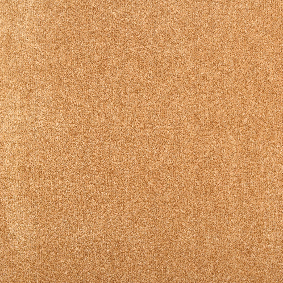 cleartex-incati-atlas-513-20