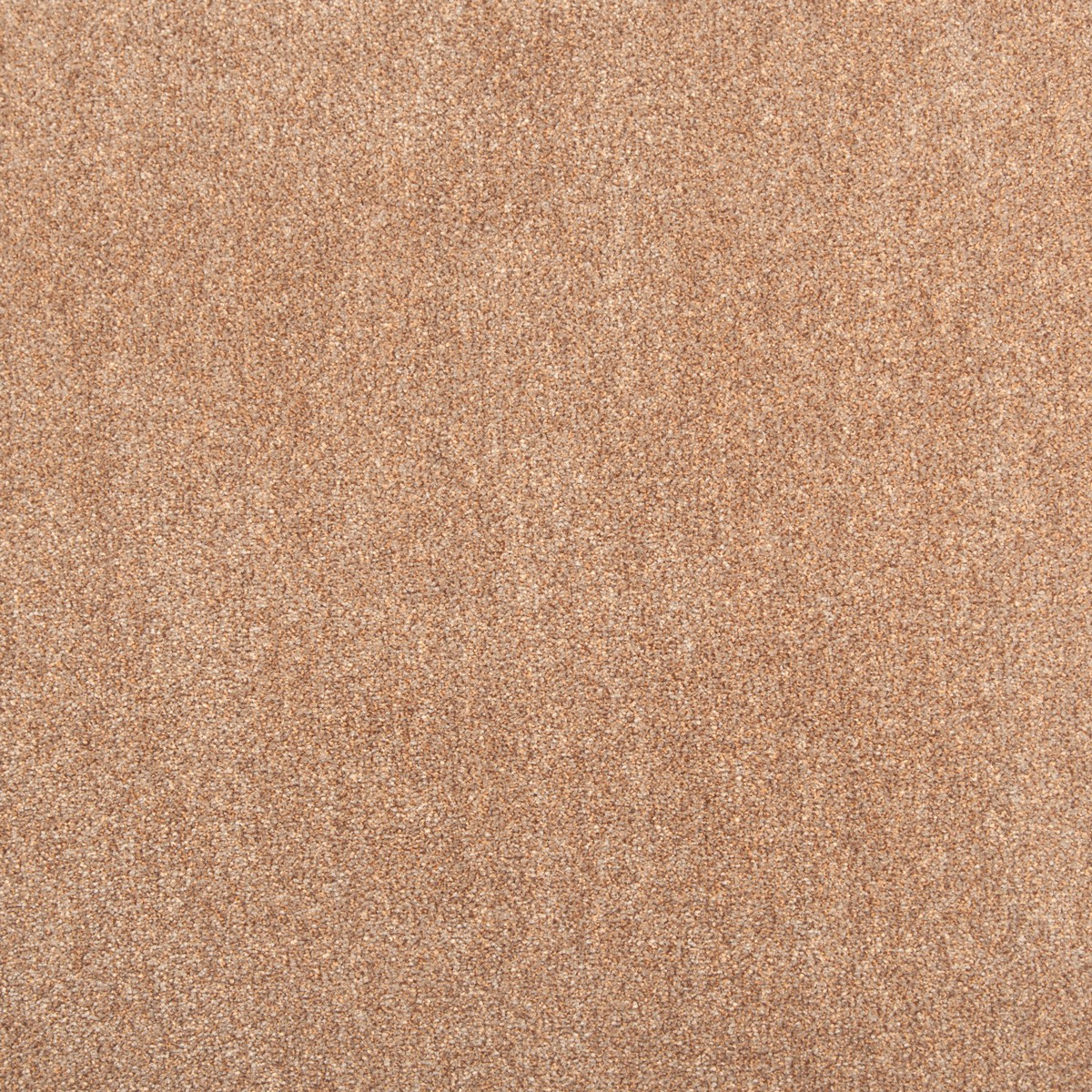 cleartex-incati-atlas-513-22