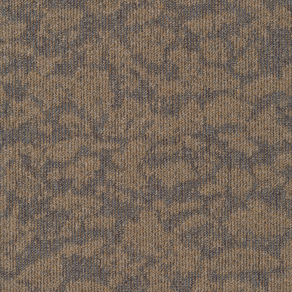 cleartex-incati-beach-612-24