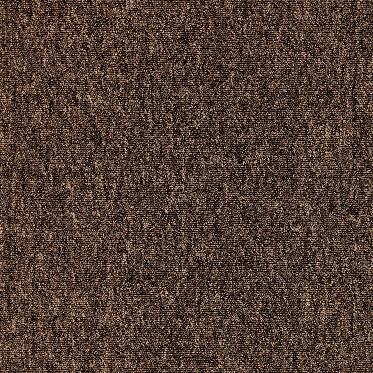 cleartex-incati-cobalt-423-31