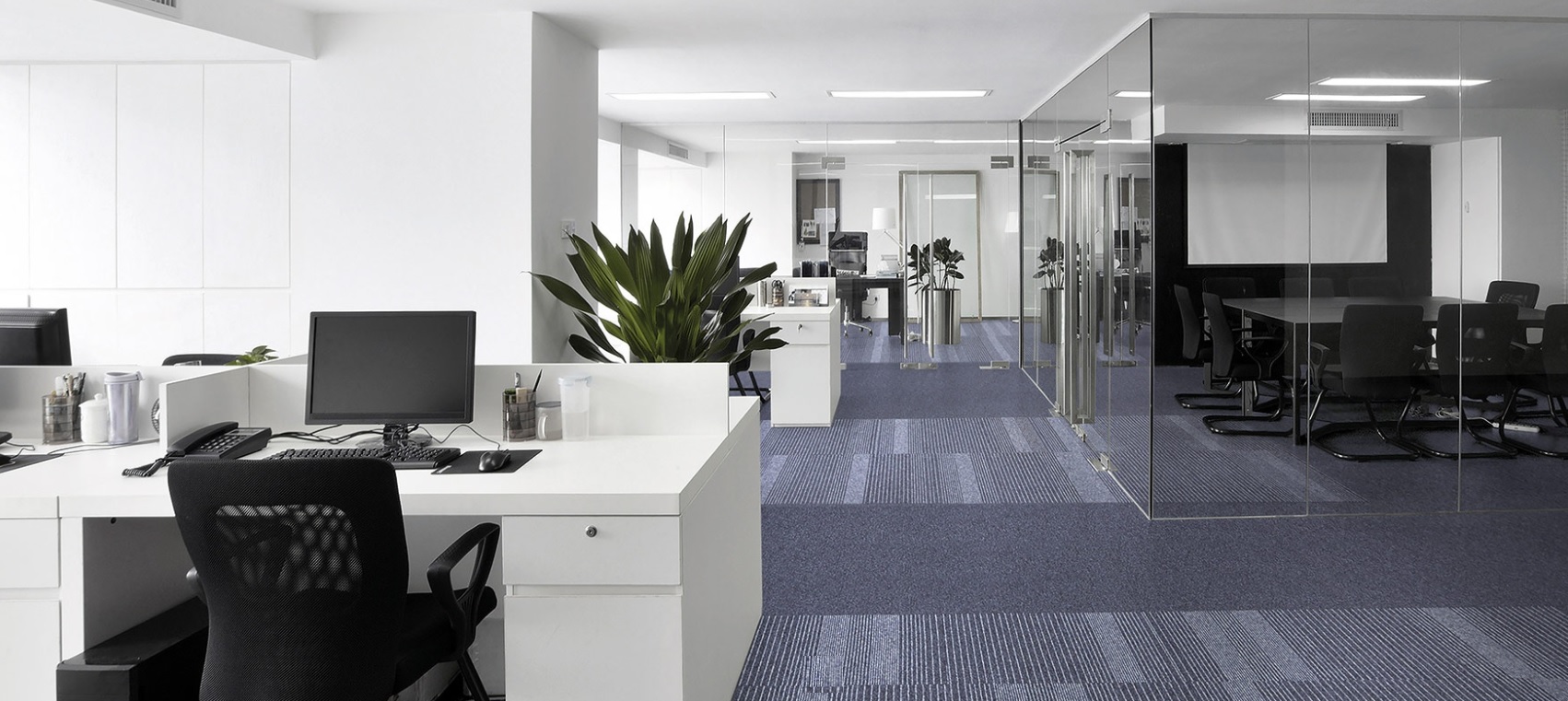 cleartex-incati-cobalt