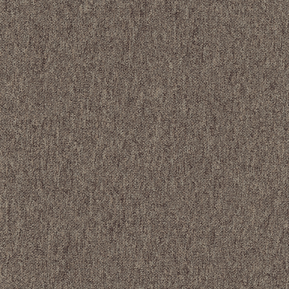 cleartex-incati-coral-583-09